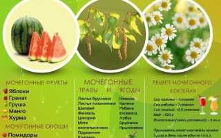 Урологический сбор при цистите: лечение, аптечные фитосборы