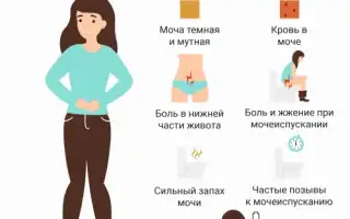 Бывает ли при цистите температура