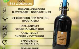 Как принимать струю бобра настоянную на спирту