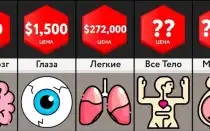 Сколько стоят донорские органы