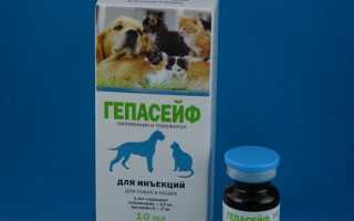 Гептрал при хпн для кошек