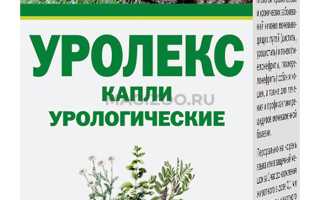 Лечение урологических заболеваний кошек