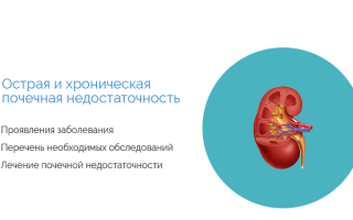 Диагностика почечной недостаточности – Анализы при хронической недостаточности почек — Медицинский женский центр в Москве