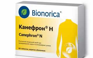 Применение препарата канефрон н в урологической практике