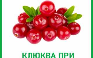 Клюква при цистите — 5 лучших рецептов