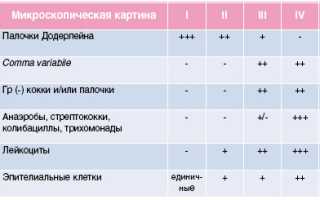 Лейкоциты в мазке из шейки матки – норма и патология — Medist.info