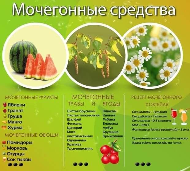 почечный сбор урологический сбор